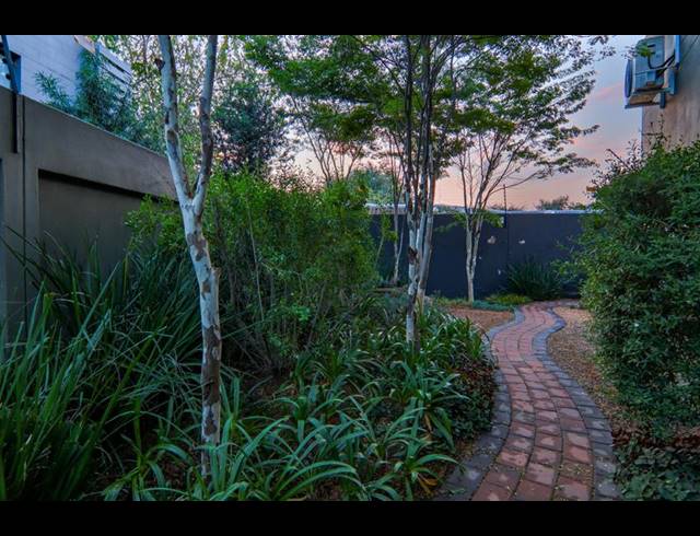 4 BEDROOM PROPERTY TO RENT IN MORNINGSIDE